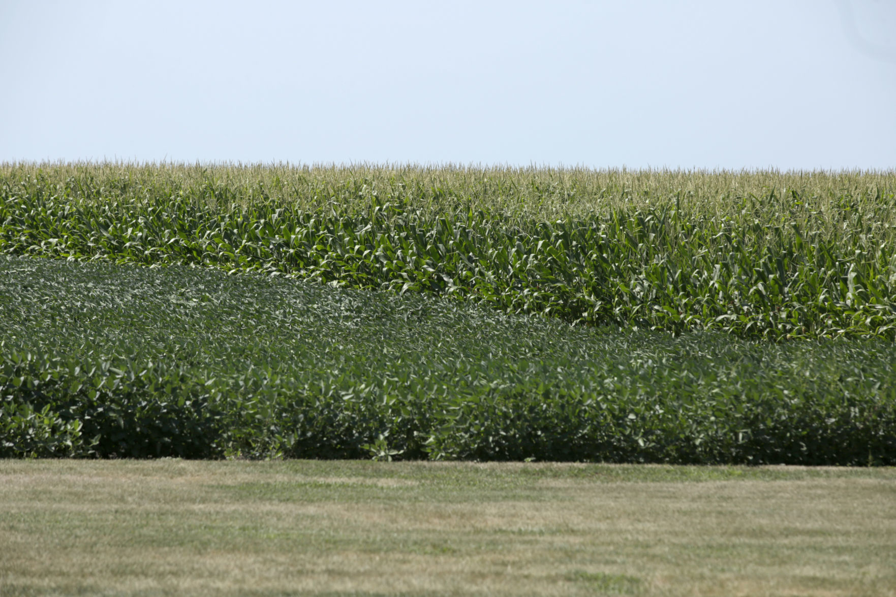 Corn_Soy-RoundtableTalk-w-SenDurbinr026-81019.JPG